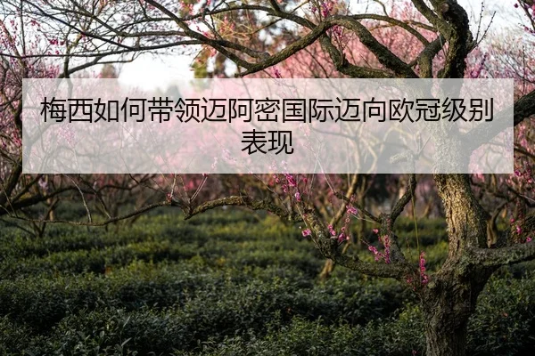 mei-xi-ru-he-dai-ling-mai-a-mi-guo-ji-mai-xiang-ou-guan-ji-bie-biao-xian-1-870.jpg